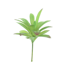 FLOR SUCULENTA LX 1903 A9