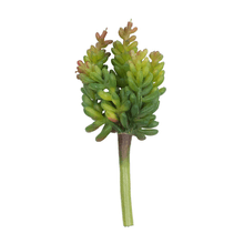 FLOR SUCULENTA LX 1913 A30 OUTONADA
