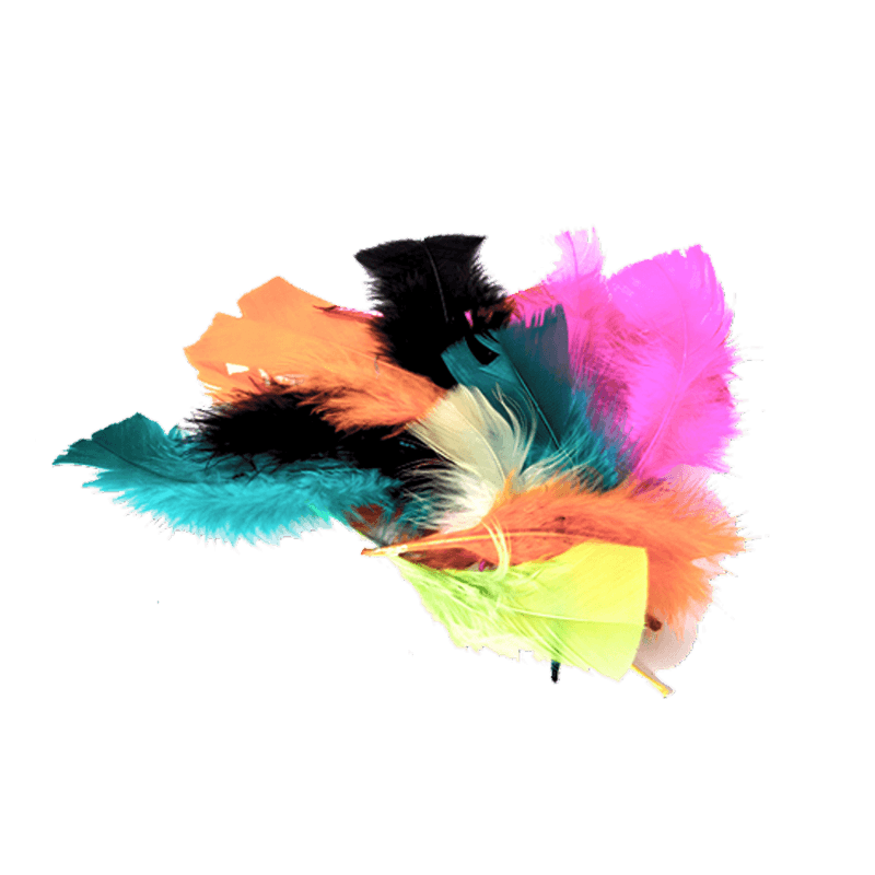 2696-2a