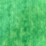 369934-2C